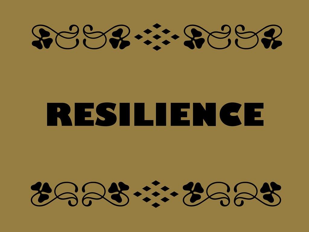Hva Er Resiliens?